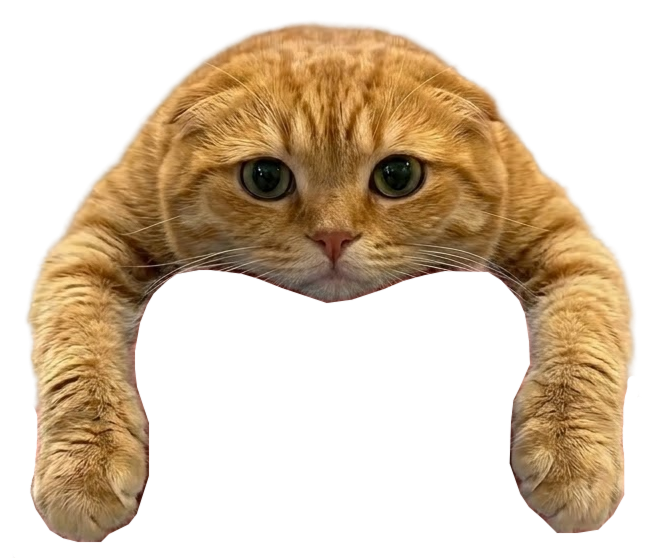 a ginger cat draped over the label